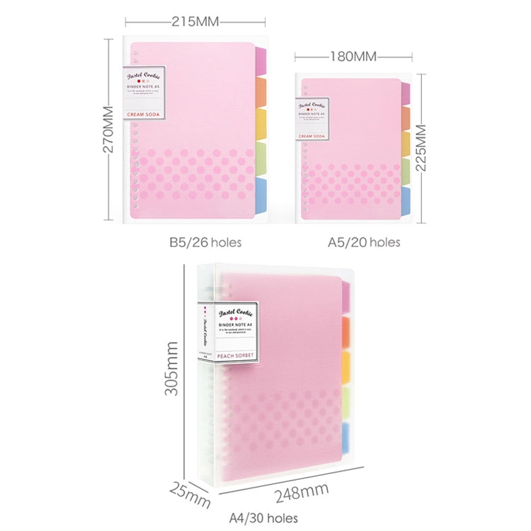 Quaderno a fogli mobili Rainbow Cookie Daily Plan Diario personale, A5, B5, A4