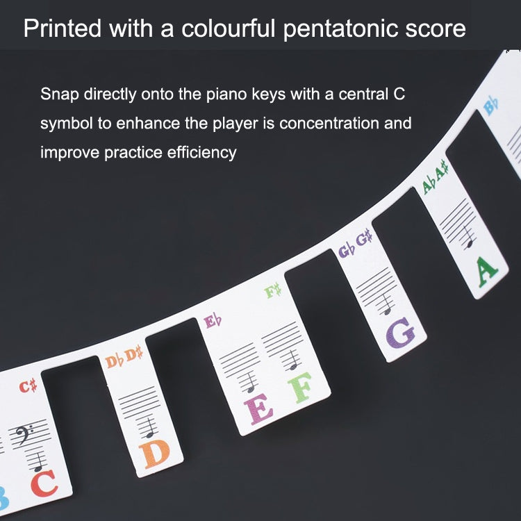 Adesivi colorati per tastiera di pianoforte per bambini, accessori per strumenti musicali, Imitation Piano Keys 61 Keys, Piano Keys 61 keys, Piano Keys 88 keys