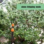 Attrezzatura regolabile per il giardinaggio Dispositivo di irrigazione automatica per irrigazione a goccia con micro-spruzzo, Automatic Watering Device