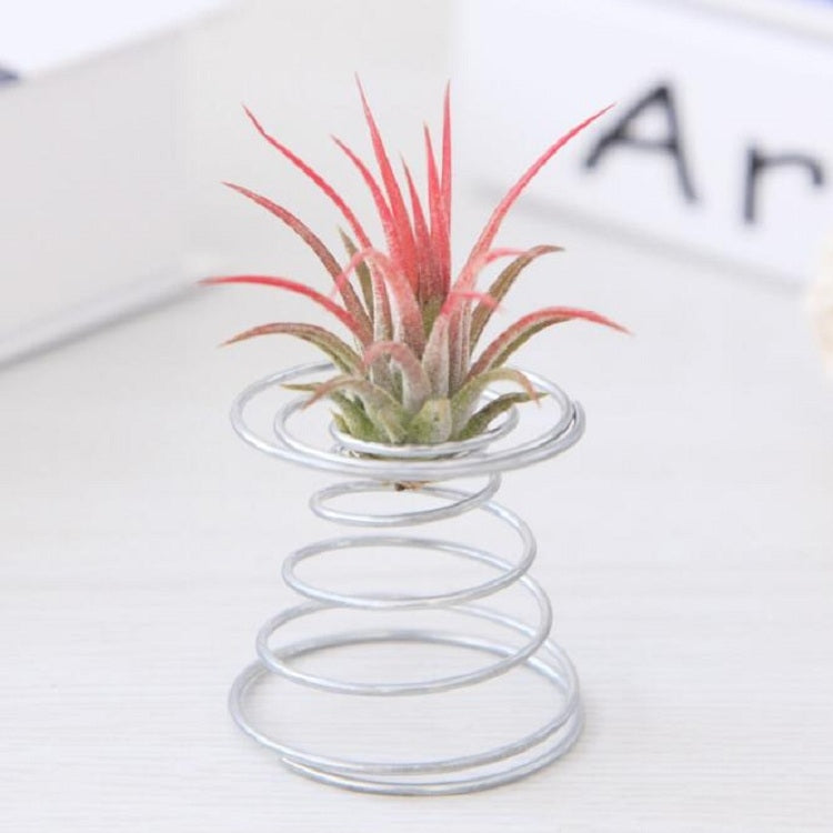 Base a molla per supporto per radicazione ananas in filo di alluminio da 2 pezzi, Pineapple Rooting Holder