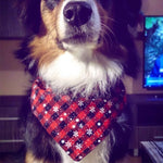 Asciugamano triangolare per animali domestici da 2 pezzi. Asciugamano per saliva per cani con fiocco di neve natalizio, S, L