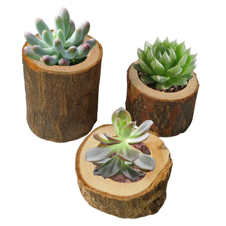 3 pezzi mini tronco naturale rotondo casa ufficio decorazione del giardino vaso di piante grasse portacandele piccolo bonsai decorazione della casa, S, M, L