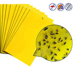 10 pezzi Pannello per insetti stecco bifacciale Pannello giallo Pannello per trappola per mosche della frutta al melone