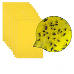 10 pezzi Pannello per insetti stecco bifacciale Pannello giallo Pannello per trappola per mosche della frutta al melone