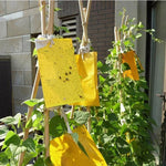 10 pezzi Pannello per insetti stecco bifacciale Pannello giallo Pannello per trappola per mosche della frutta al melone