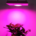 Luce per la crescita delle piante da 75 W Luce per serra per interni COB ultrasottile ad alta luminosità a spettro completo con spina, UK Plug, US Plug, EU Plug, AU Plug
