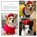 2 pezzi di cappello a corona per animali domestici, copricapo creativo e divertente per cani e gatti, S, L
