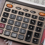 Deli 1559N Calcolatrice vocale dal vivo Calcolatrice finanziaria multifunzionale per ufficio a 12 bit, 1559N