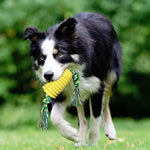 Giocattolo da masticare per animali domestici con bastoncino per la dentizione del cane, Pet Chewing Toy