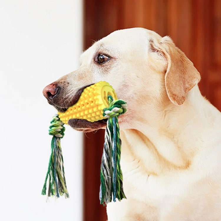 Giocattolo da masticare per animali domestici con bastoncino per la dentizione del cane, Pet Chewing Toy