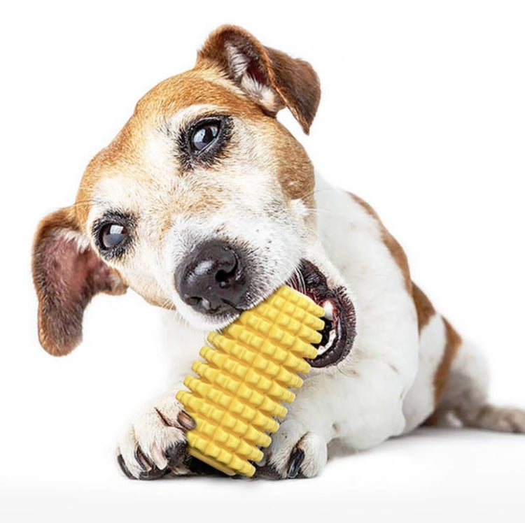 Giocattolo da masticare per animali domestici con bastoncino per la dentizione del cane, Pet Chewing Toy
