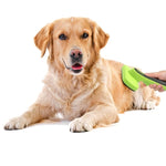 Pettine depilazione animali domestici in ABS verde