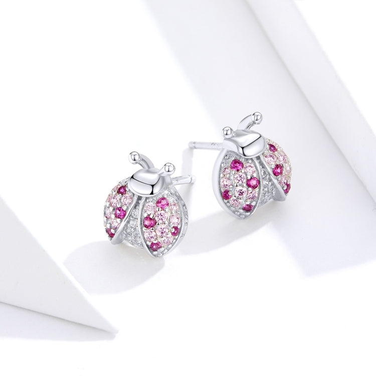 Orecchini a forma di insetti in argento sterling Orecchini a coccinella a sette stelle Orecchini per ragazza placcati in platino, SCE715