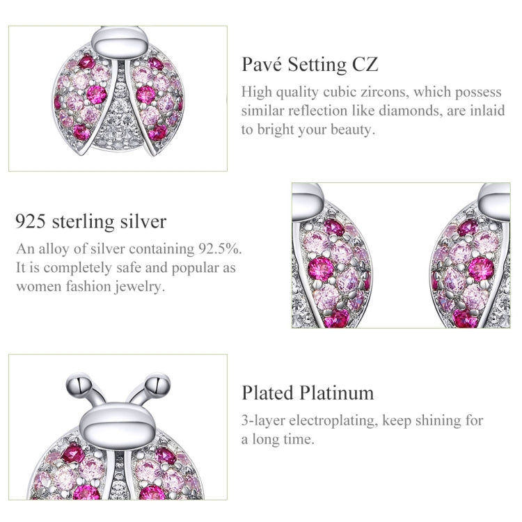 Orecchini a forma di insetti in argento sterling Orecchini a coccinella a sette stelle Orecchini per ragazza placcati in platino, SCE715