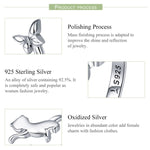 Anello in argento sterling S925 per compagni di gatti, SCR443