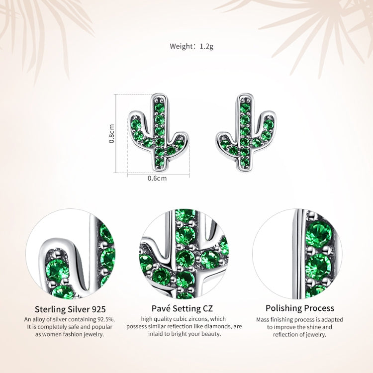 Orecchini femminili in argento sterling S925 con personalità Fresh Cactus, SCE097