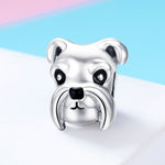 Perline in argento sterling S925 Simpatico Schnauzer placcato in platino Accessori Ciondolo Perline sfuse, SCC835