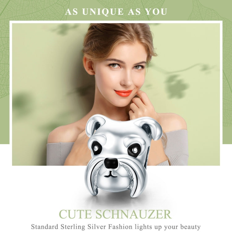 Perline in argento sterling S925 Simpatico Schnauzer placcato in platino Accessori Ciondolo Perline sfuse, SCC835