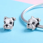 Perline in argento sterling S925 Simpatico Schnauzer placcato in platino Accessori Ciondolo Perline sfuse, SCC835