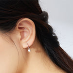 Orecchini in argento sterling S925 placcati in platino Orecchini con zirconi temperamento, SCE830