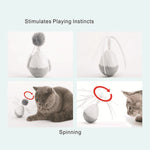 Giocattolo per animali domestici divertente per gatti, giocattolo per bicchieri per animali domestici, giocattolo elettrico, Pet Funny Cat Toy
