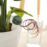 6 set di dispositivi di irrigazione automatica in vaso di fiori, 6 Sets