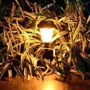 Lampada da giardino solare a fiamma dinamica LED