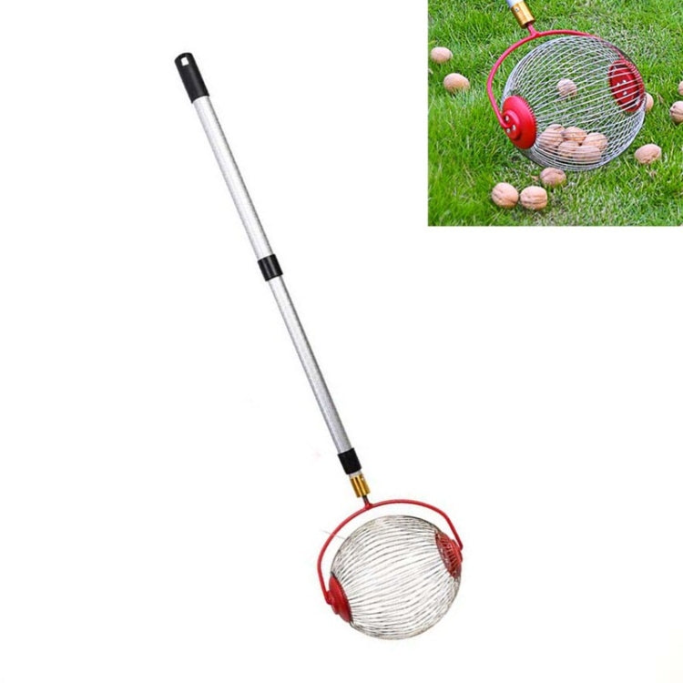 Raccoglitore telescopico per noci e frutta 48-105 cm
