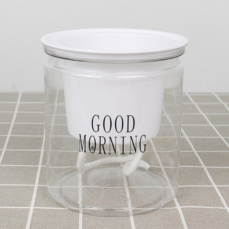Vaso da fiori per piante grasse con assorbimento d'acqua automatico da 10 pezzi, Transparent Without Words, Transparent With Words