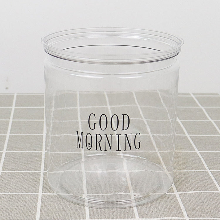 Vaso da fiori per piante grasse con assorbimento d'acqua automatico da 10 pezzi, Transparent Without Words, Transparent With Words