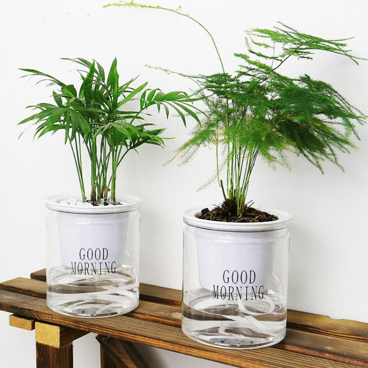 Vaso da fiori per piante grasse con assorbimento d'acqua automatico da 10 pezzi, Transparent Without Words, Transparent With Words