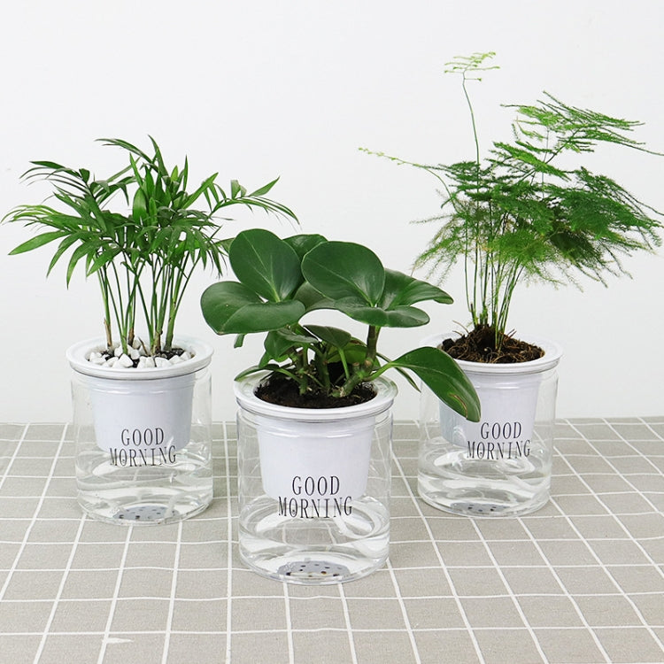 Vaso da fiori per piante grasse con assorbimento d'acqua automatico da 10 pezzi, Transparent Without Words, Transparent With Words