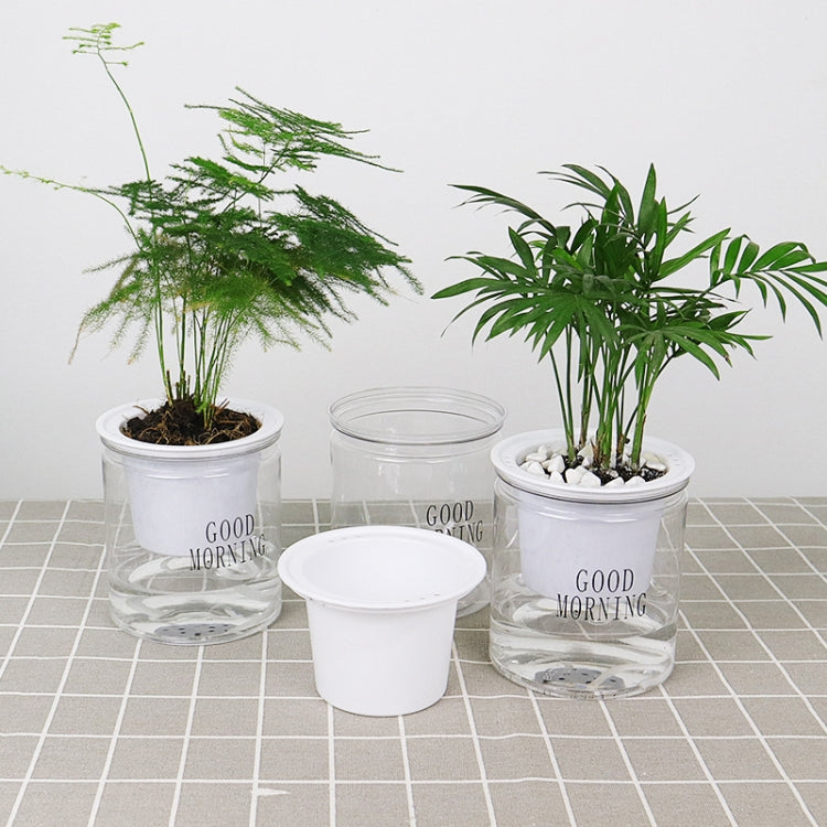 Vaso da fiori per piante grasse con assorbimento d'acqua automatico da 10 pezzi, Transparent Without Words, Transparent With Words