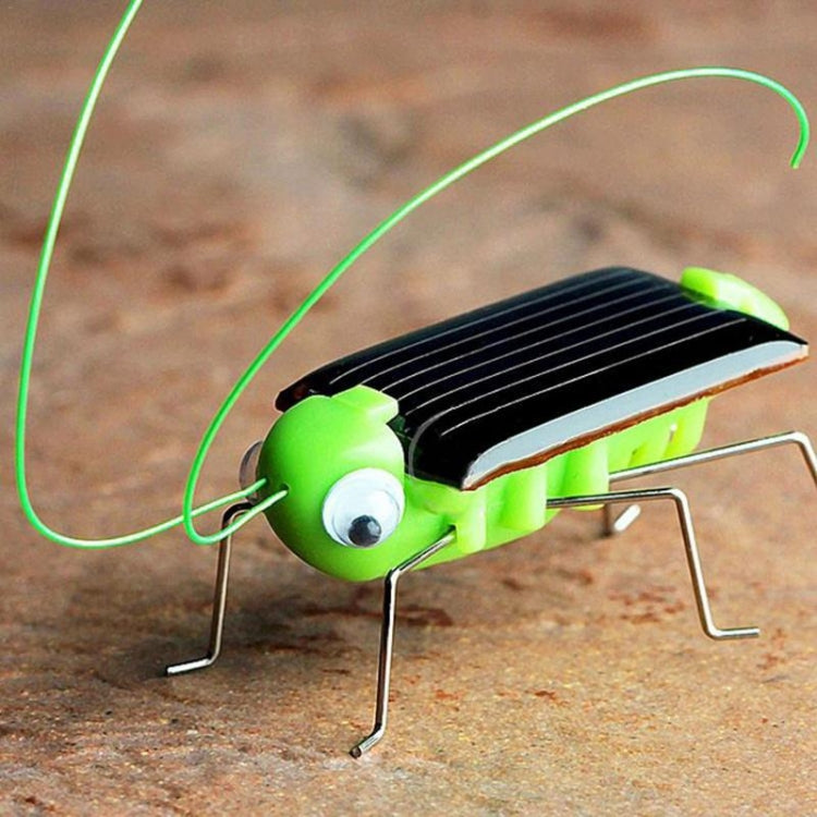 Regalo del giocattolo per bambini del grillo della cavalletta dell'energia dell'energia solare del bambino dei bambini, Grasshopper Cricket