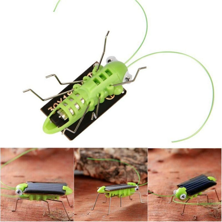 Regalo del giocattolo per bambini del grillo della cavalletta dell'energia dell'energia solare del bambino dei bambini, Grasshopper Cricket