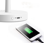 Lampada ventilatore ricaricabile da tavolo e pavimento