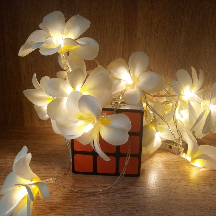Luci a stringa LED 1,5 m bianco caldo a batteria