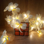 1,5 m 10 LED alimentato a batteria bianco caldo creativo fai da te Frangipani LED luci a stringa floreale illuminazione natalizia evento festa ghirlanda decorazione camera da letto