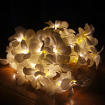 1,5 m 10 LED alimentato a batteria bianco caldo creativo fai da te Frangipani LED luci a stringa floreale illuminazione natalizia evento festa ghirlanda decorazione camera da letto