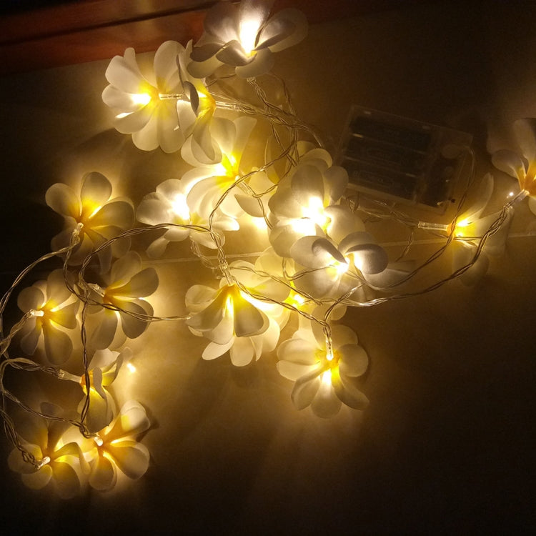 1,5 m 10 LED alimentato a batteria bianco caldo creativo fai da te Frangipani LED luci a stringa floreale illuminazione natalizia evento festa ghirlanda decorazione camera da letto