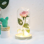 Simulazione Rose Luci Copertura in vetro Decorazioni Artigianato Regali di San Valentino