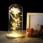 Simulazione Rose Luci Copertura in vetro Decorazioni Artigianato Regali di San Valentino