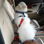 Cintura di sicurezza per cintura di sicurezza per auto per cani da compagnia con clip per guinzaglio in nylon da 2 pezzi, Black, Blue, Red