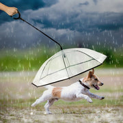 Ombrello per animali domestici trasparente regolabile per cani piovosi? Guinzaglio da passeggio, Pet Umbrella