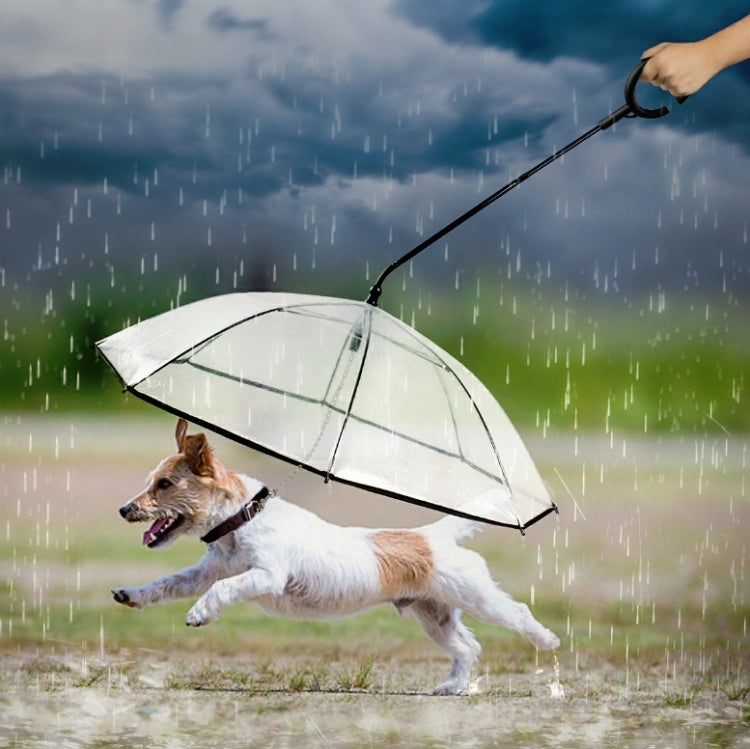 Ombrello trasparente regolabile per animali domestici 70 cm
