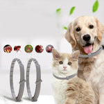 Anello repellente per insetti in vitro per animali domestici, collare antipulci e antipidocchi da 5 pezzi, Cat/38cm, Small Dog/38cm, Large Dog/70cm
