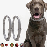 Anello repellente per insetti in vitro per animali domestici, collare antipulci e antipidocchi da 5 pezzi, Cat/38cm, Small Dog/38cm, Large Dog/70cm