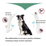 Anello repellente per insetti in vitro per animali domestici, collare antipulci e antipidocchi da 5 pezzi, Cat/38cm, Small Dog/38cm, Large Dog/70cm