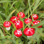 20 decorazioni da giardino in miniatura con mini funghi artificiali in schiuma, 20 PCS Foam Mushroom