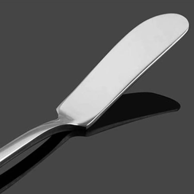 Coltello da burro in acciaio inossidabile